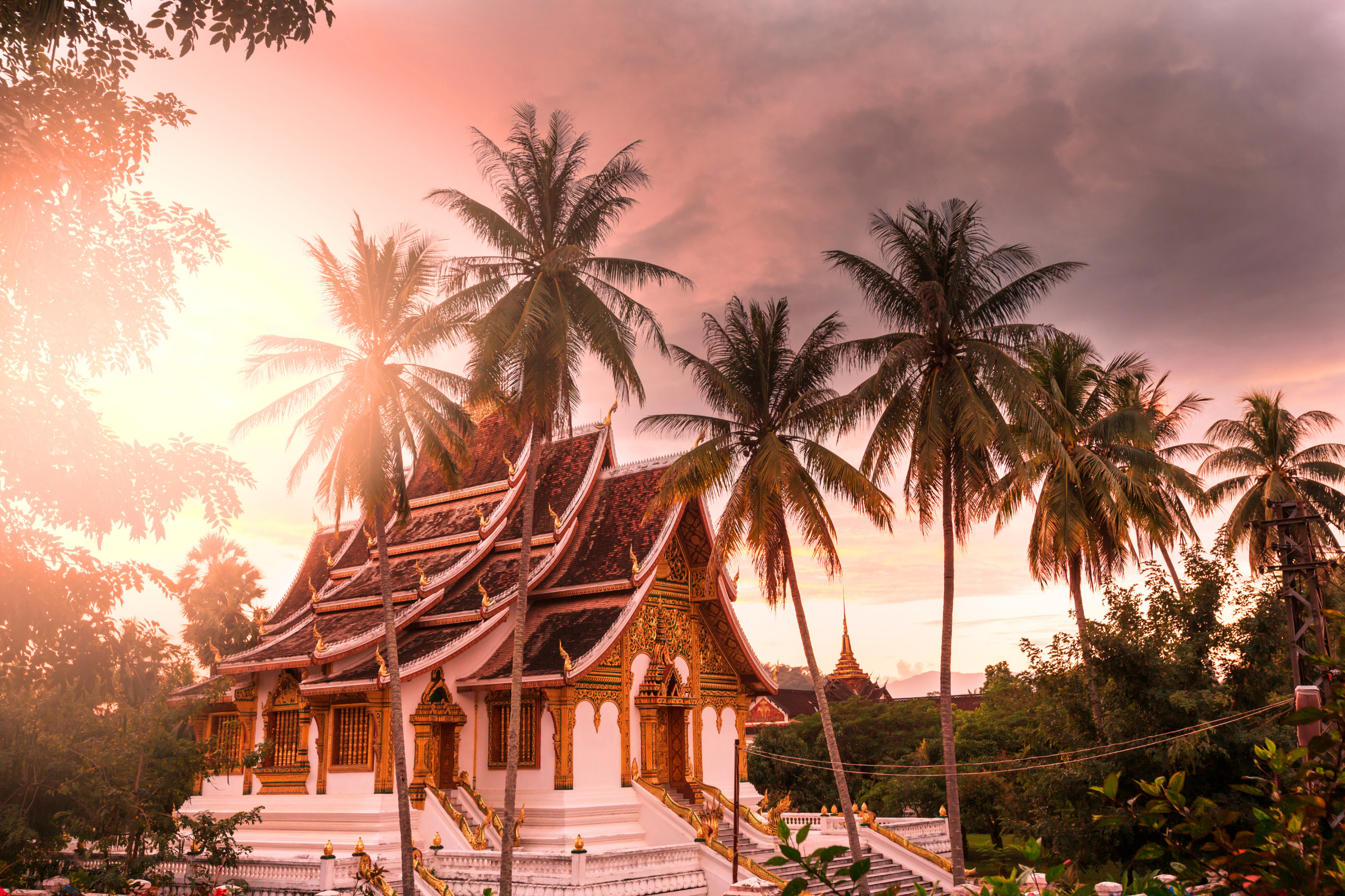pakse (3).webp